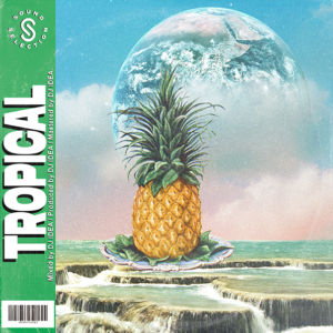 Dj Idea - Tropical (Sample Pack)