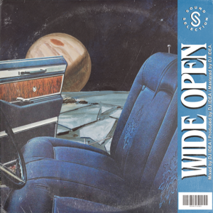 Dj Idea - Wide Open (Sample Pack)