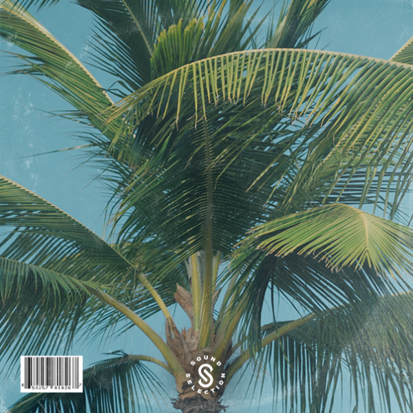 Palm Tree (Sample Pack)